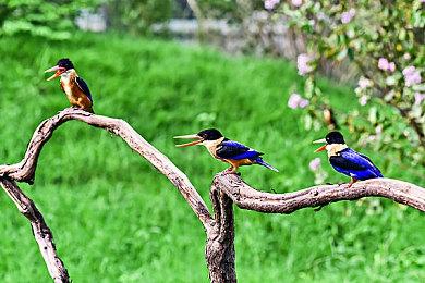 民国风叙事解谜游戏《江华号》12月7日正式发售